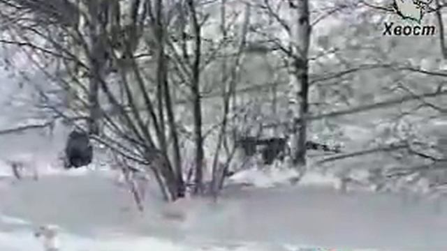 Солдаты (за ВДВ!) смотреть онлайн