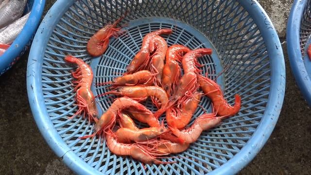 漁獲豐富的宜蘭大溪漁港 好心漁販將蝦猴弄了個很漂亮的姿勢擺拍 2023 смотреть онлайн