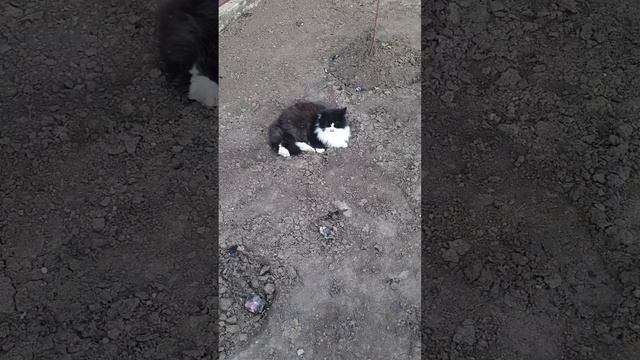 Боня опять приболел смотреть онлайн