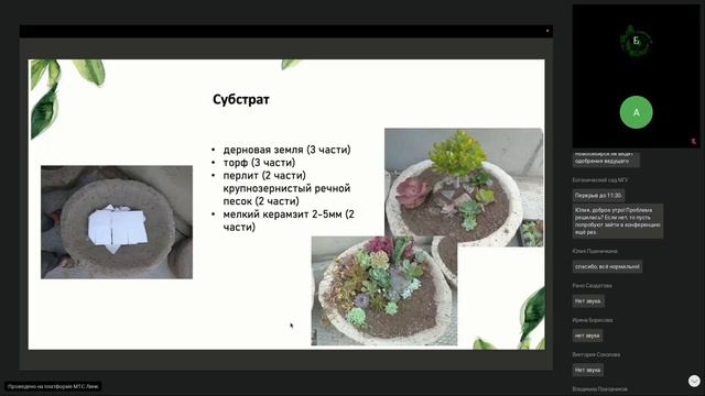 Использование суккулентных растений для созданий композиций открытого грунта