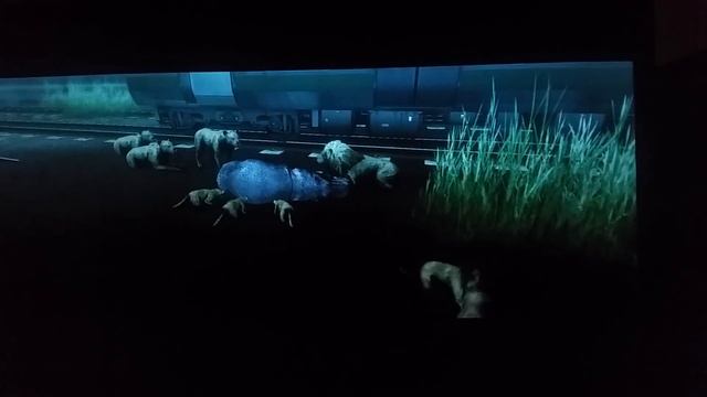 Tokyo Jungle chapter 5-7 смотреть онлайн