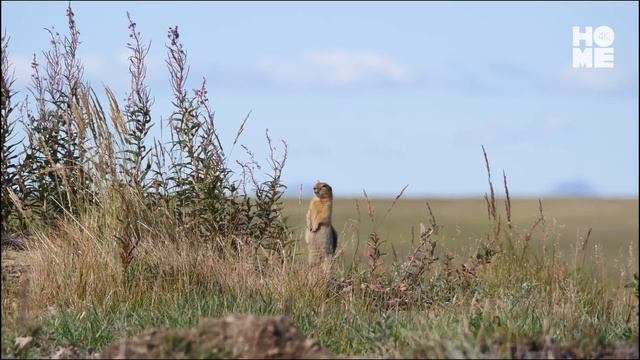 Долина с рекой. Алексей Ерастов смотреть онлайн