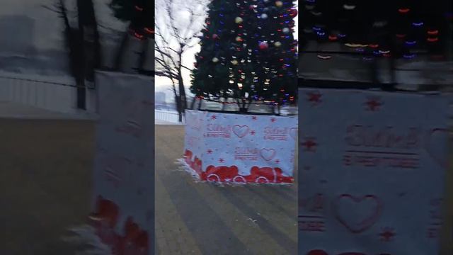 Ёлочка в городском парке. смотреть онлайн