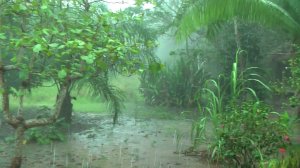 Амазонская сельва. Сезон дождей.