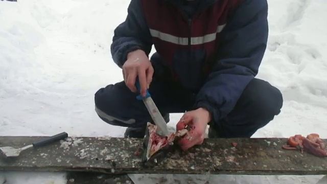 Как почистить щуку со спины. смотреть онлайн
