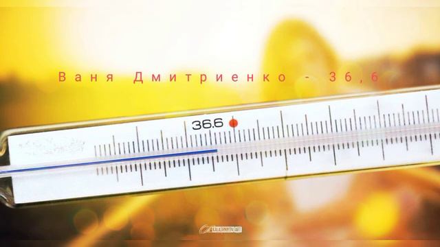 Ваня Дмитриенко - 36,6 смотреть онлайн