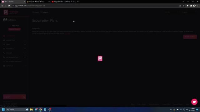 PaidReels: Watch Video And Earn Money / Monthly Earnings PHP ₱3,399 | Honest Review | English Sub смотреть онлайн