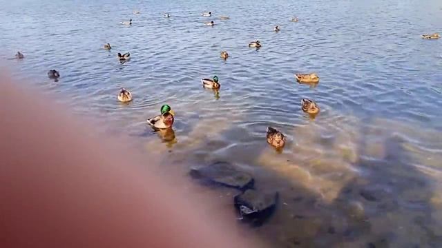 НЕ УПУСТИ ВРЕМЯ! ЧТО БУДЕТ ДАЛЬШЕ_! К ЧЕМУ ВСЁ ПРИХОДИТ. НАЧАЛО И КОНЕЦ. смотреть онлайн