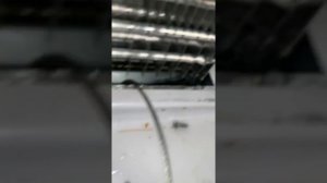 Плохой запах в холодильнике. Конденсат внутри