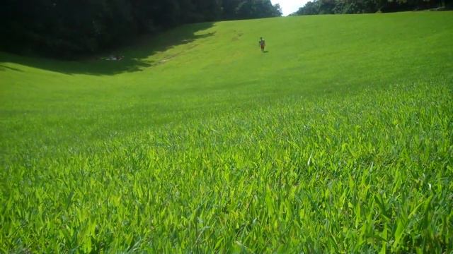 Riley,down hill Hot August 2017 смотреть онлайн
