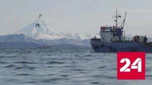День пограничника: как охраняют морские рубежи - Россия 24 