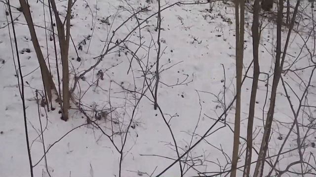 Убился без шипов. Катка на Авантис. Прайд эндуро. смотреть онлайн