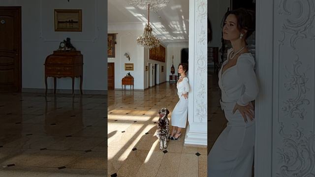 Собаки из отеля модели для фотосессий смотреть онлайн