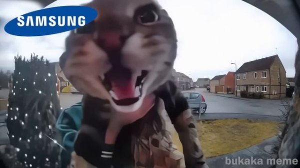 Cat Meows into door camera meme but famous phone ringtones