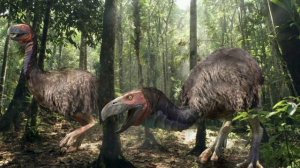 "ФОРОРАКОС. ГИГАНТСКИЙ ХИЩНЫЙ БРОЙЛЕР ИЗ ДРЕВНЕЙ ЮЖНОЙ АМЕРИКИ" (ДОИСТОРИЧЕСКАЯ ДИЧЬ)