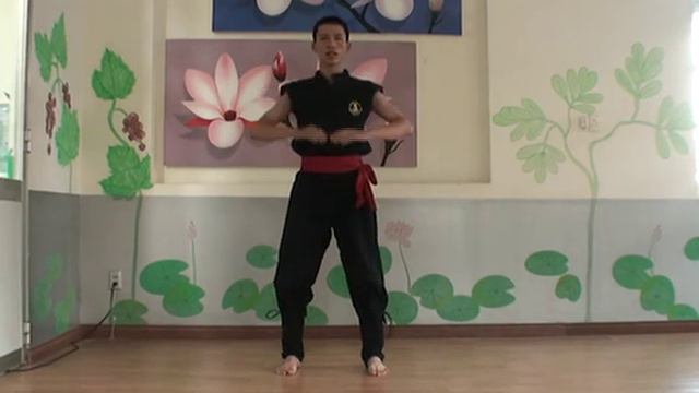 Basic Kung Fu For Health Yang Sheng Qigong Nr. 5 (EN Subtitles) смотреть онлайн