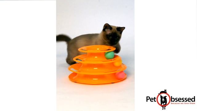 PetObsessed Cat Ball Ring Toy смотреть онлайн
