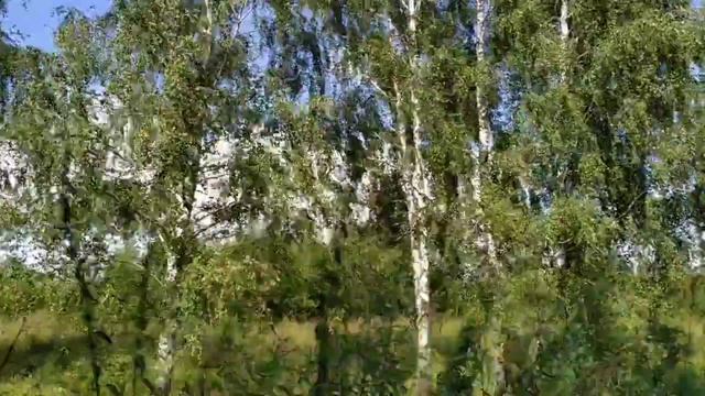 #Дорога домой #краснодарский край #московская область смотреть онлайн