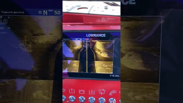 Сравнение изображений датчиков  Allinone и SSD3D от Lowrance.