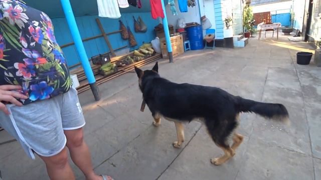 Собираемся к родителям смотреть онлайн