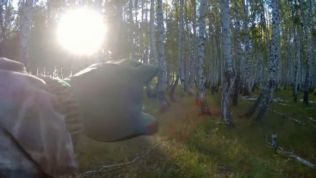 5 копеек Александра 1 и немного советов смотреть онлайн