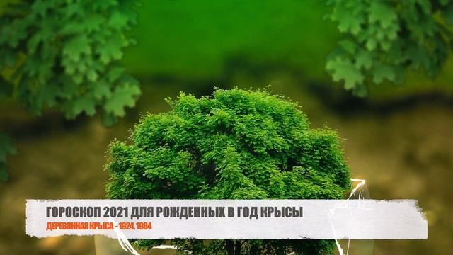 ЧТО ЖДЕТ КРЫСУ В 2021 ГОД БЫКА - ГОРОСКОП НА 2021 ГОД ПО ГОДУ РОЖДЕНИЯ смотреть онлайн