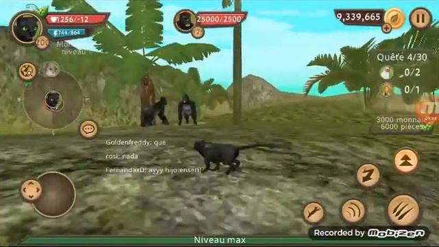 Побеждение всех боссов в Cat Sim