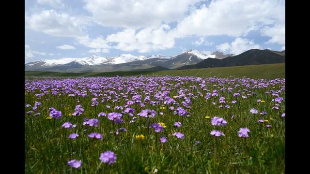 РАБ ЖЕЛАНИЯ ( Лики любви 86) смотреть онлайн