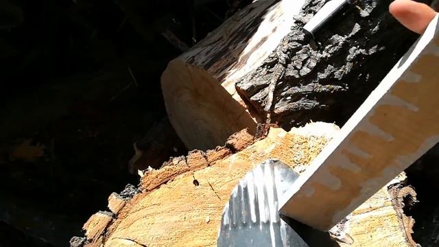 Black Ada по честному