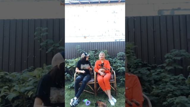 Как учить, растить и фотографировать щенка и взрослую собаку смотреть онлайн