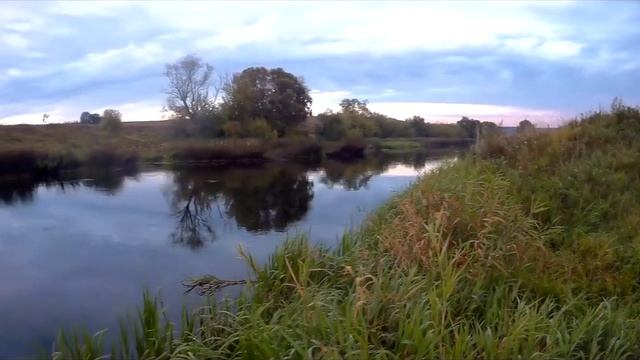 Готовим молча. Копченый язь. смотреть онлайн