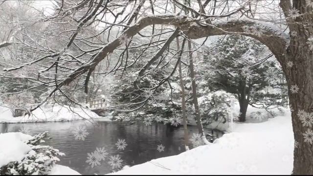Ученик 11 "г" класса школы имени М.В.Ломоносова читает стихи У.Вордсворта "Люси". смотреть онлайн