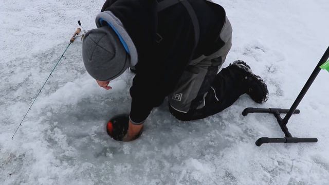 СЕЗОН ОТКРЫТ! ПОИМКА ТРОФЕЙНОЙ ЩУКИ НА ЗИМНЕЙ РЫБАЛКЕ! Поймал Отпусти смотреть онлайн