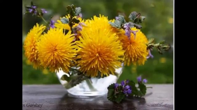 Возможные варианты картин от И.Сахарова! ЦВЕТЫ! Натюрморты! смотреть онлайн