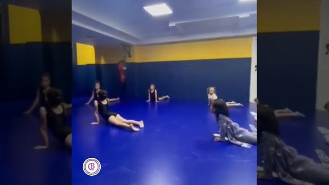 Зал "Сити Спорт" смотреть онлайн