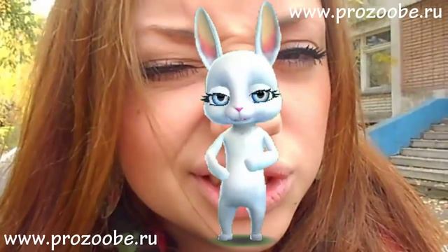 Невыносимая Ревность Мужа ❁❁❁ Прикольные видео от Зайки Домашней Хозяйки смотреть онлайн