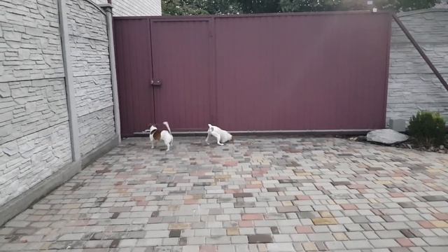 Вкусный борщ! Пришли гости! Всё довольны смотреть онлайн