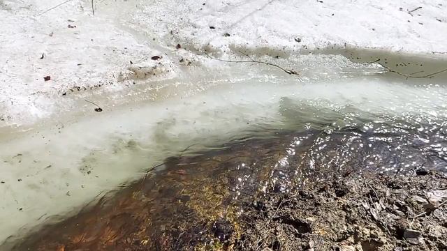 13.04.2021 Весна, замедленная съемка прогулки. Челябинск. смотреть онлайн