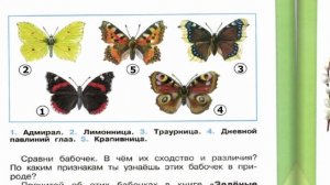 Окружающий мир. Рабочая тетрадь 2 класс 2 часть. ГДЗ стр. 56 №5