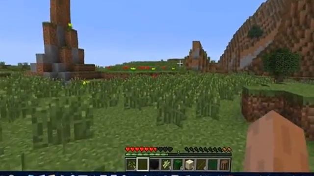 LetsP курицы и  тыквы