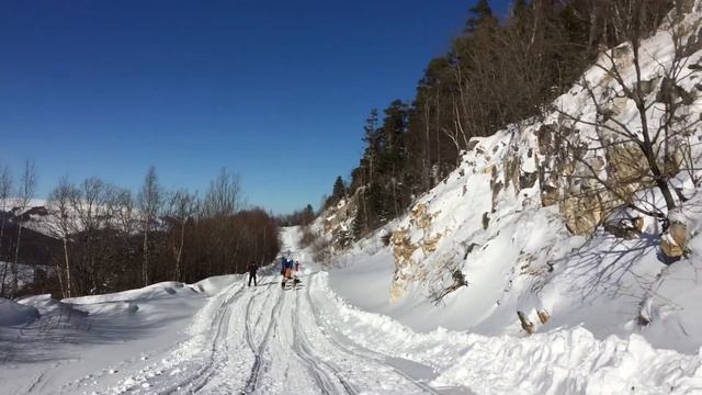 Катание на собачьей упряжке смотреть онлайн