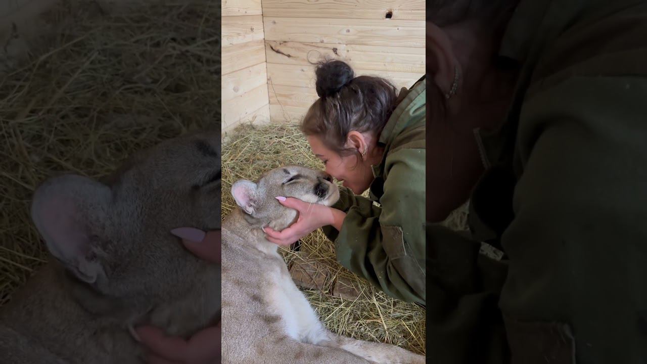 My 1000 kisses to the baby Braige