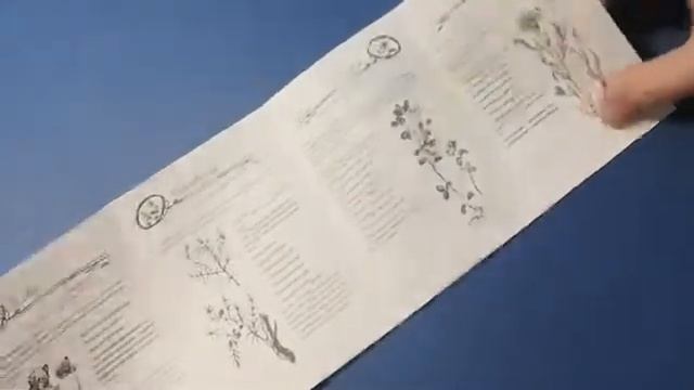 Лифлет про свойства растений в гидролатах смотреть онлайн