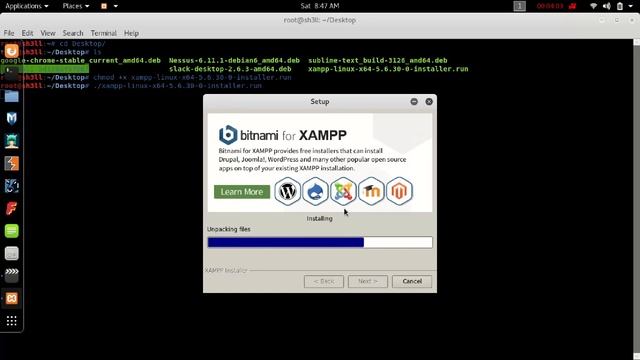 installing Xampp in kali linux 2017.1 смотреть онлайн