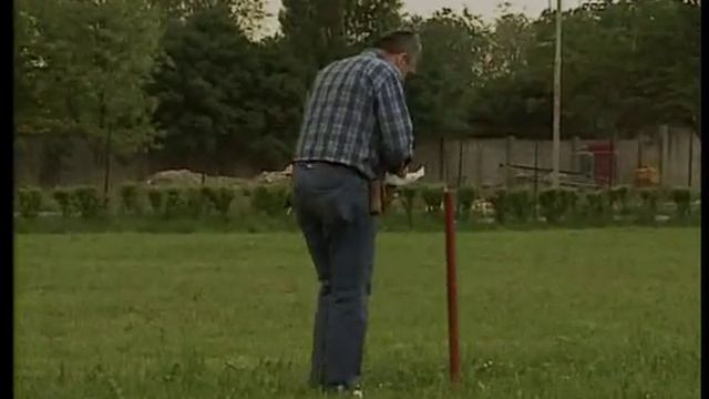 Шнауцер (Цвергшнауцер, Миттельшнауцер, Ризеншнауцер) смотреть онлайн