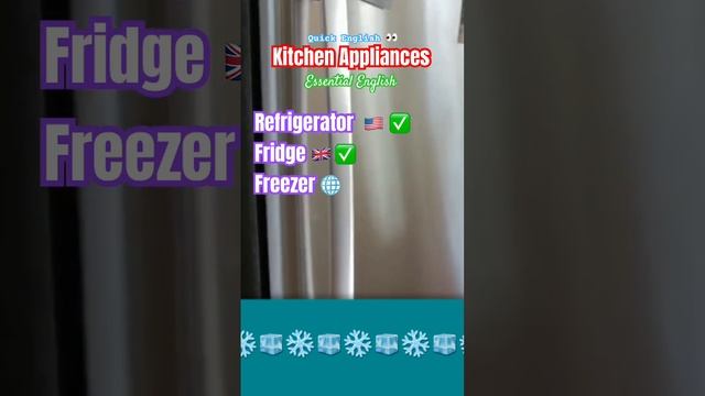 Refrigerator or Fridge? American British English #refridgerator #fridge #freezer #esl смотреть онлайн