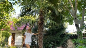 12 июля 2024 г.