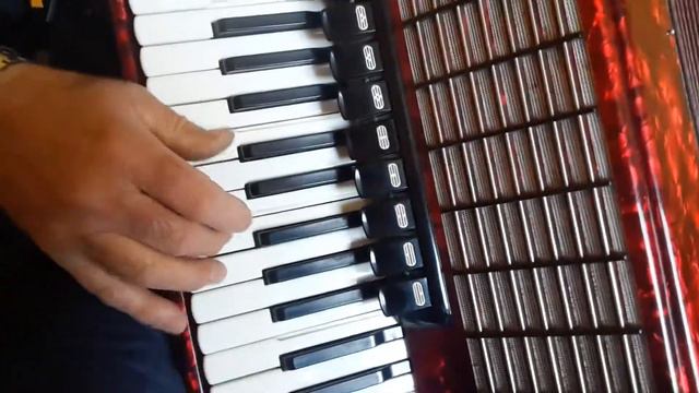 Weltmeister Stella 96 Bass LMMH Accordion Akkordeon Fisarmonica Red + Case AC425 (1) смотреть онлайн