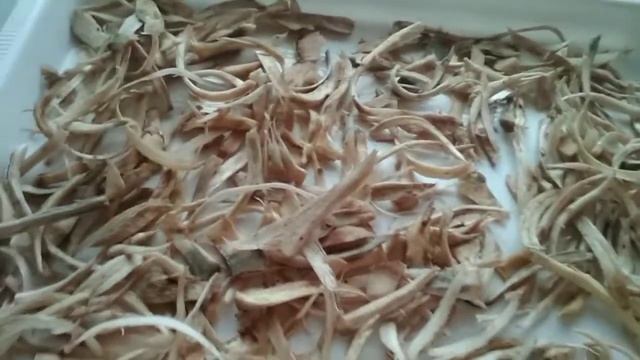 Девясил. Заготовка корней девясила. смотреть онлайн