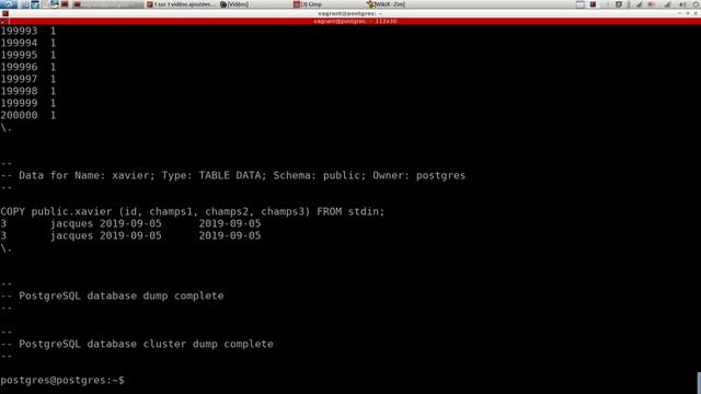 POSTGRESQL - 22. Sauvegardes : pg_dumpall смотреть онлайн
